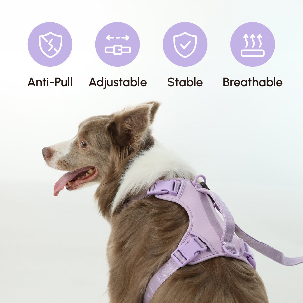 No Pull Active Pet Harness-Mint Purple