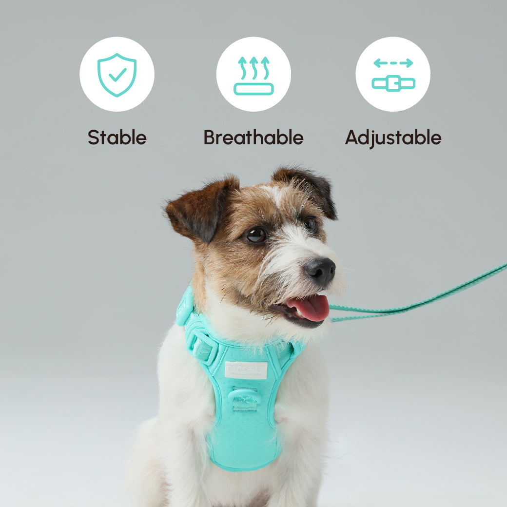 Padded Active Pet Leash-Mint Green