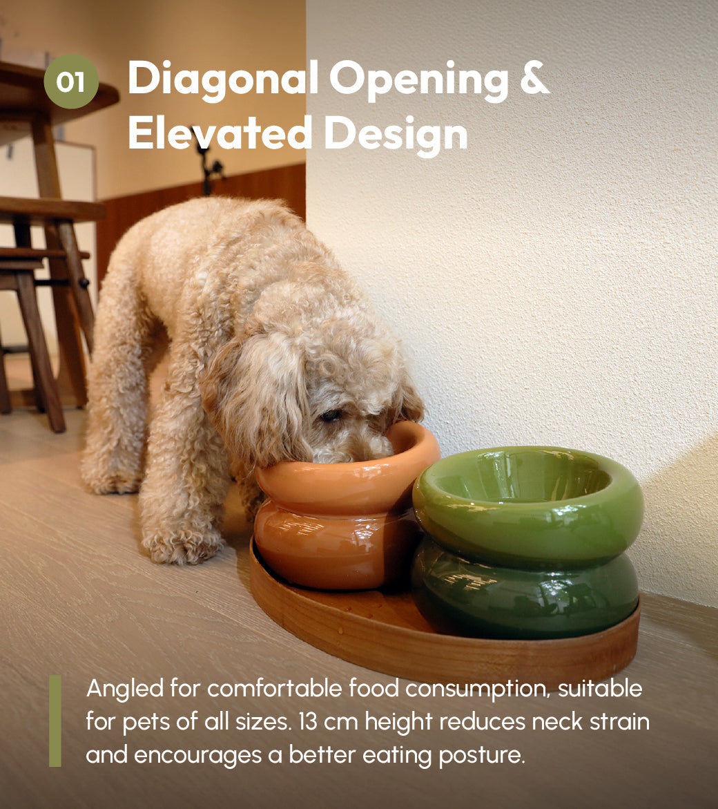 Souffle Pet Bowl-Avocado Green
