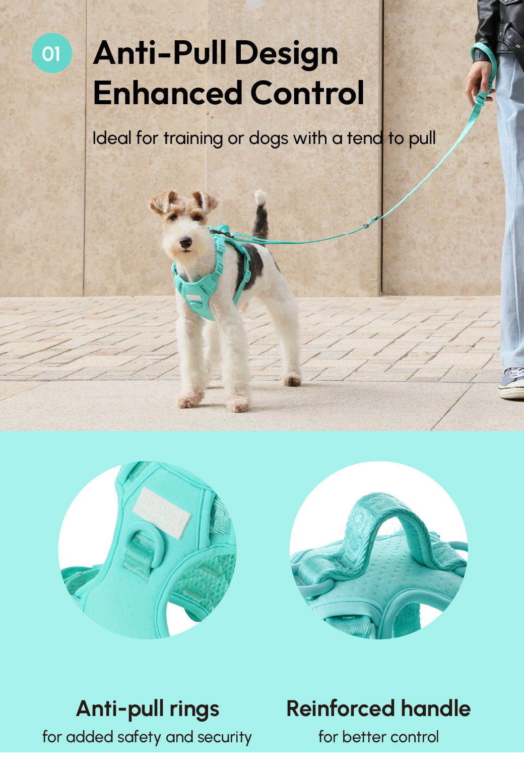No Pull Active Pet Harness-Mint Green