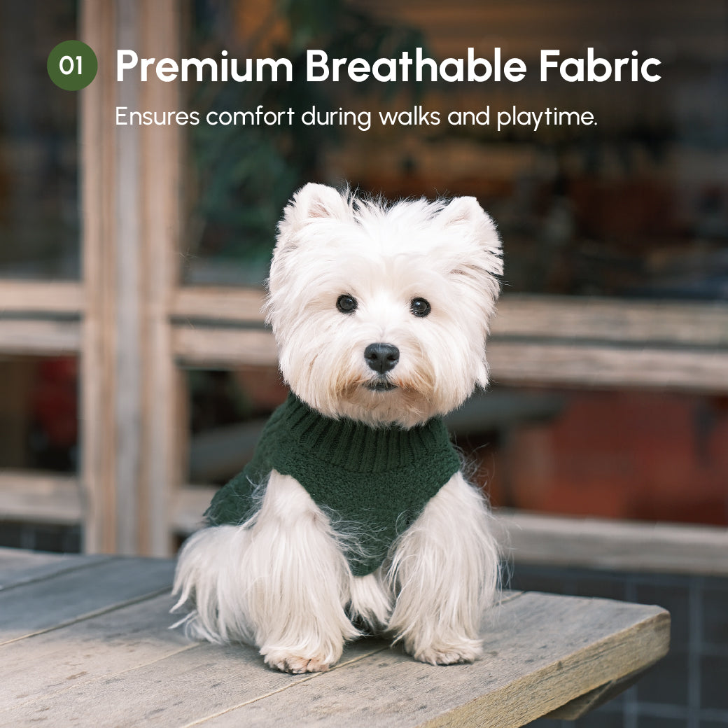 Pet Sweater Vest-Green