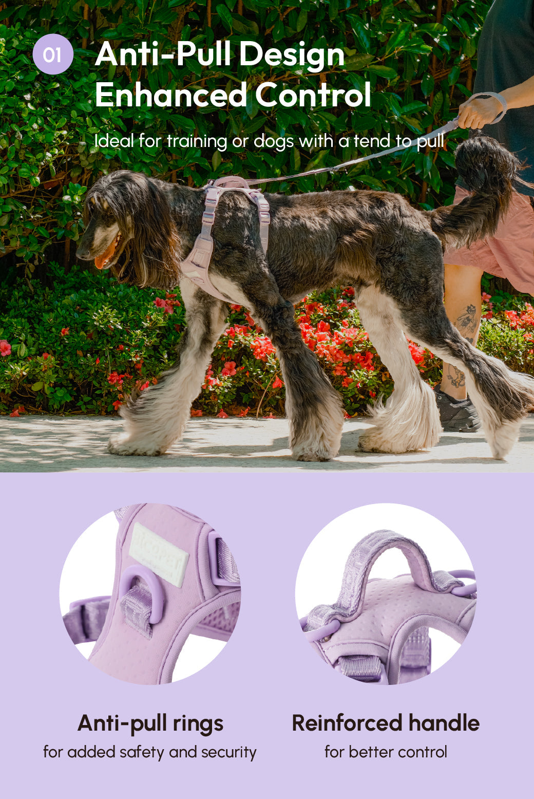 No Pull Active Pet Harness-Mint Purple