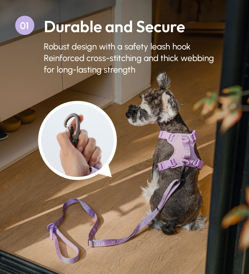 Padded Active Pet Leash-Mint Purple