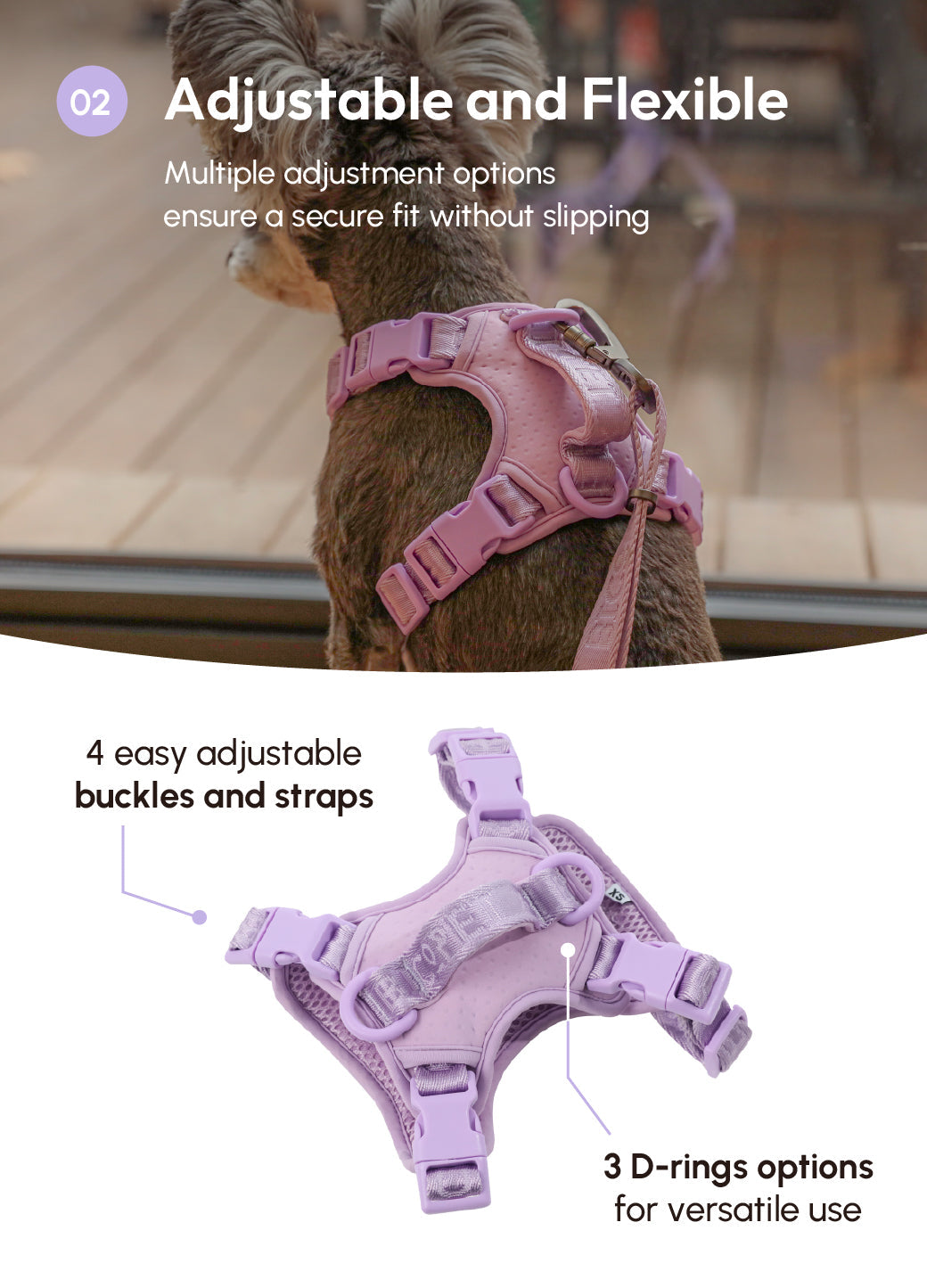 No Pull Active Pet Harness-Mint Purple