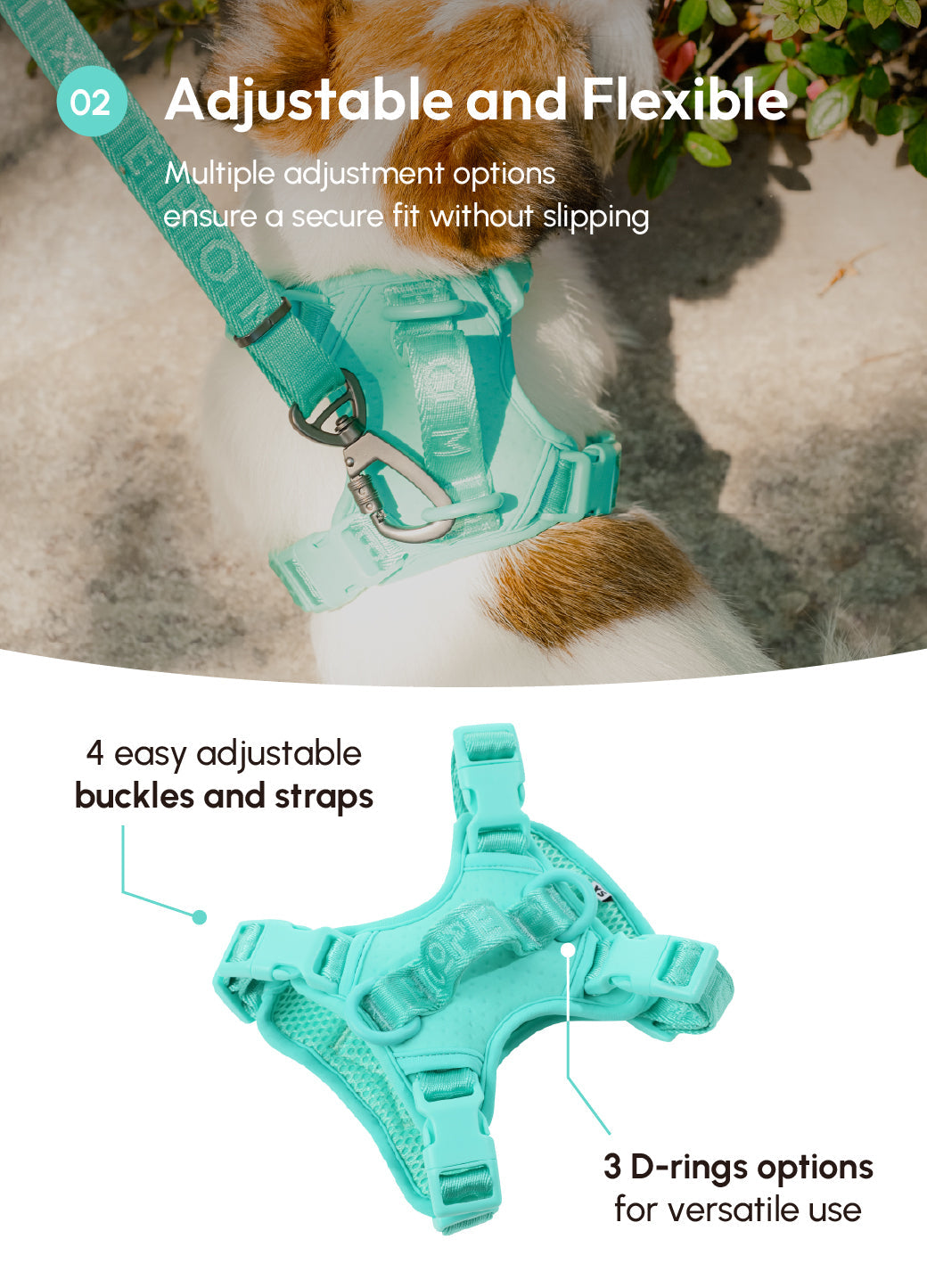 No Pull Active Pet Harness-Mint Green