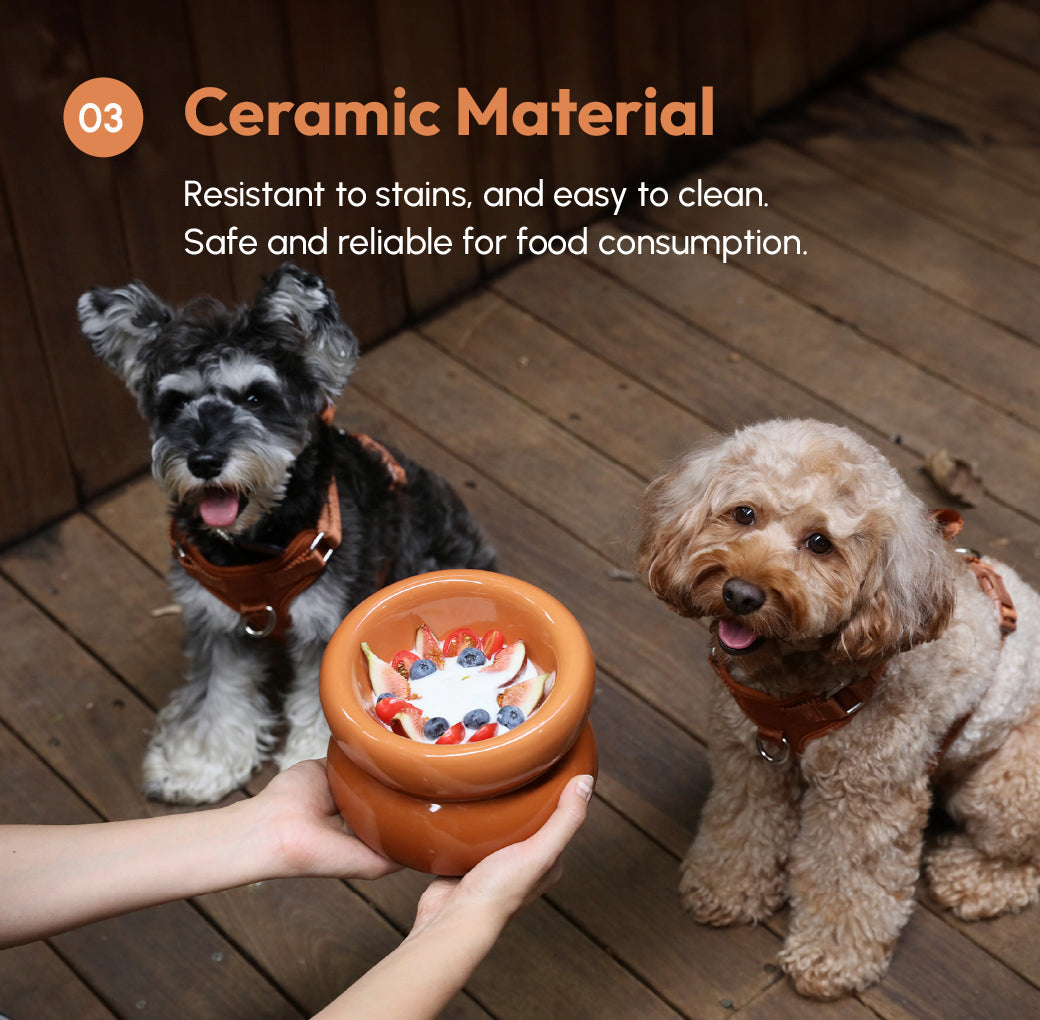Souffle Pet Bowl-Amber Orange