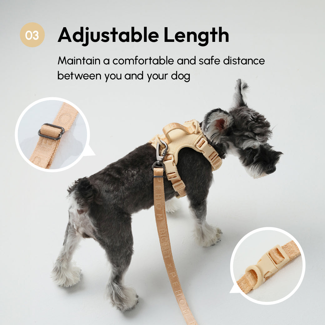 Padded Active Pet Leash-Apricot