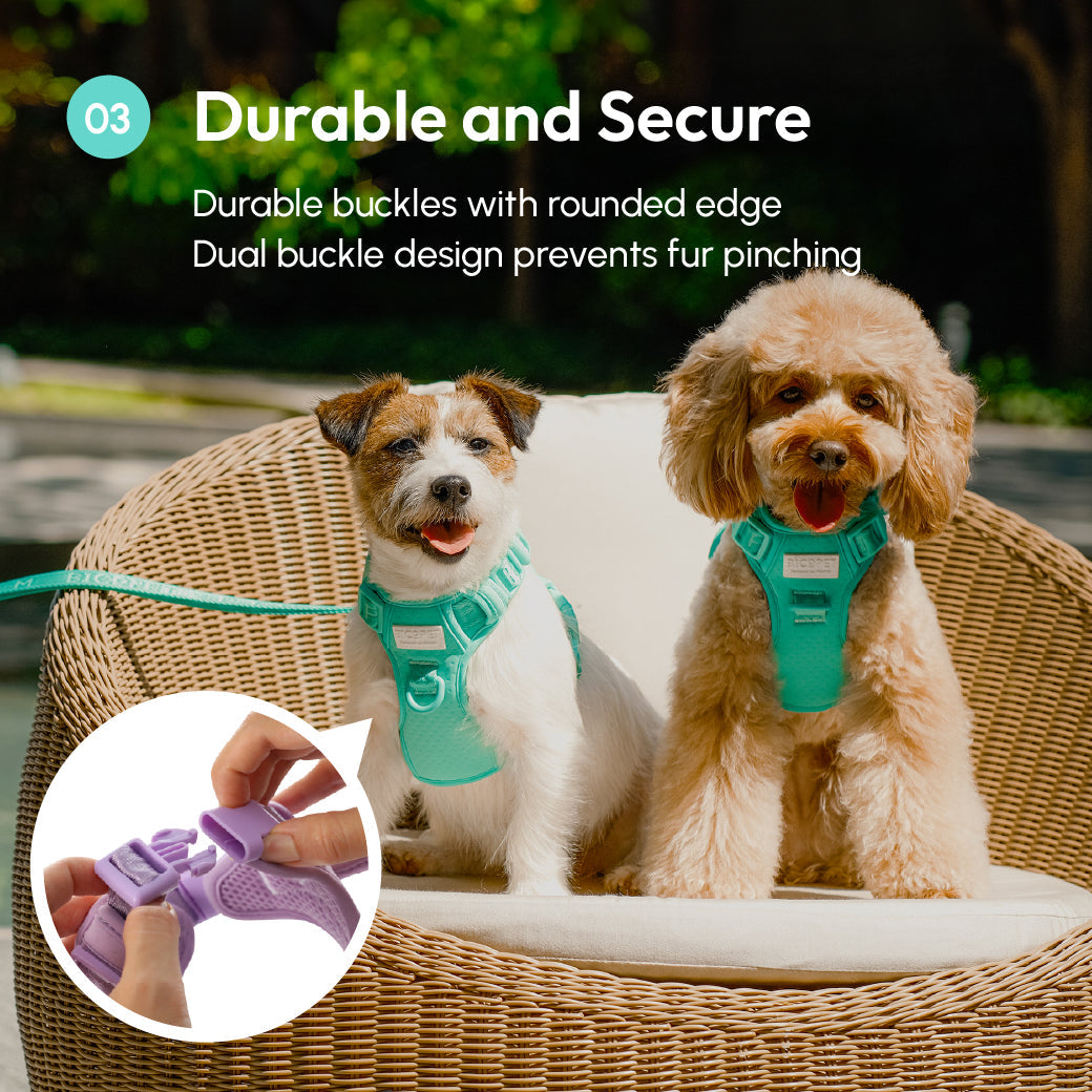 No Pull Active Pet Harness-Mint Green