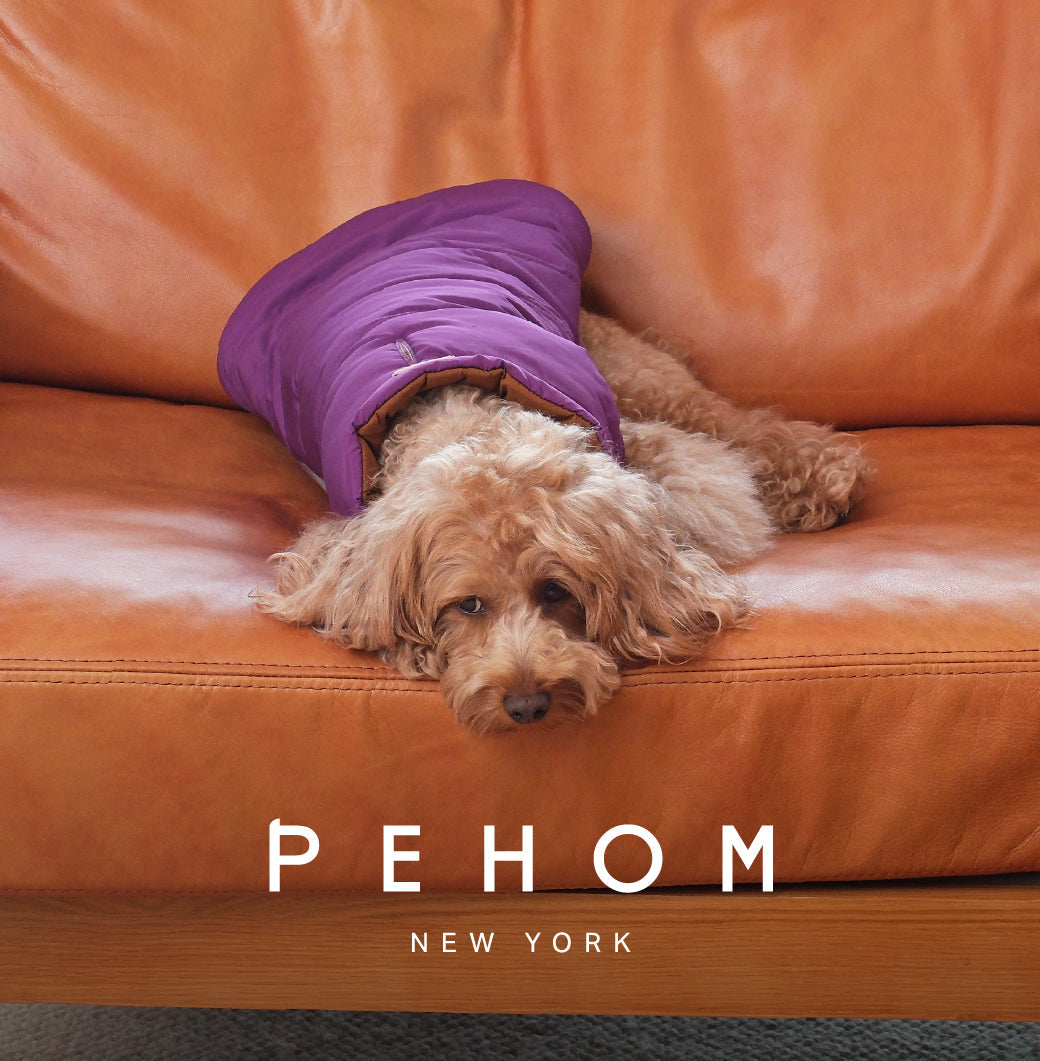 Reversible Dog Vest Jacket-Purple Caramel