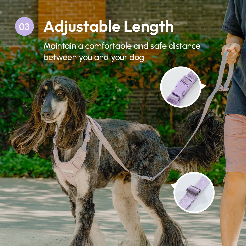 Padded Active Pet Leash-Mint Purple