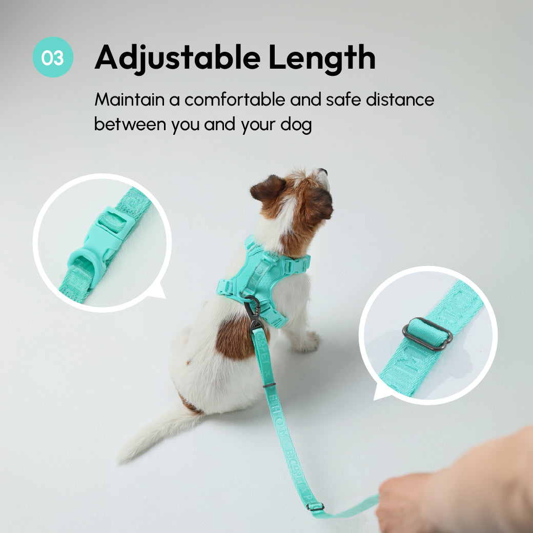 Padded Active Pet Leash-Mint Green