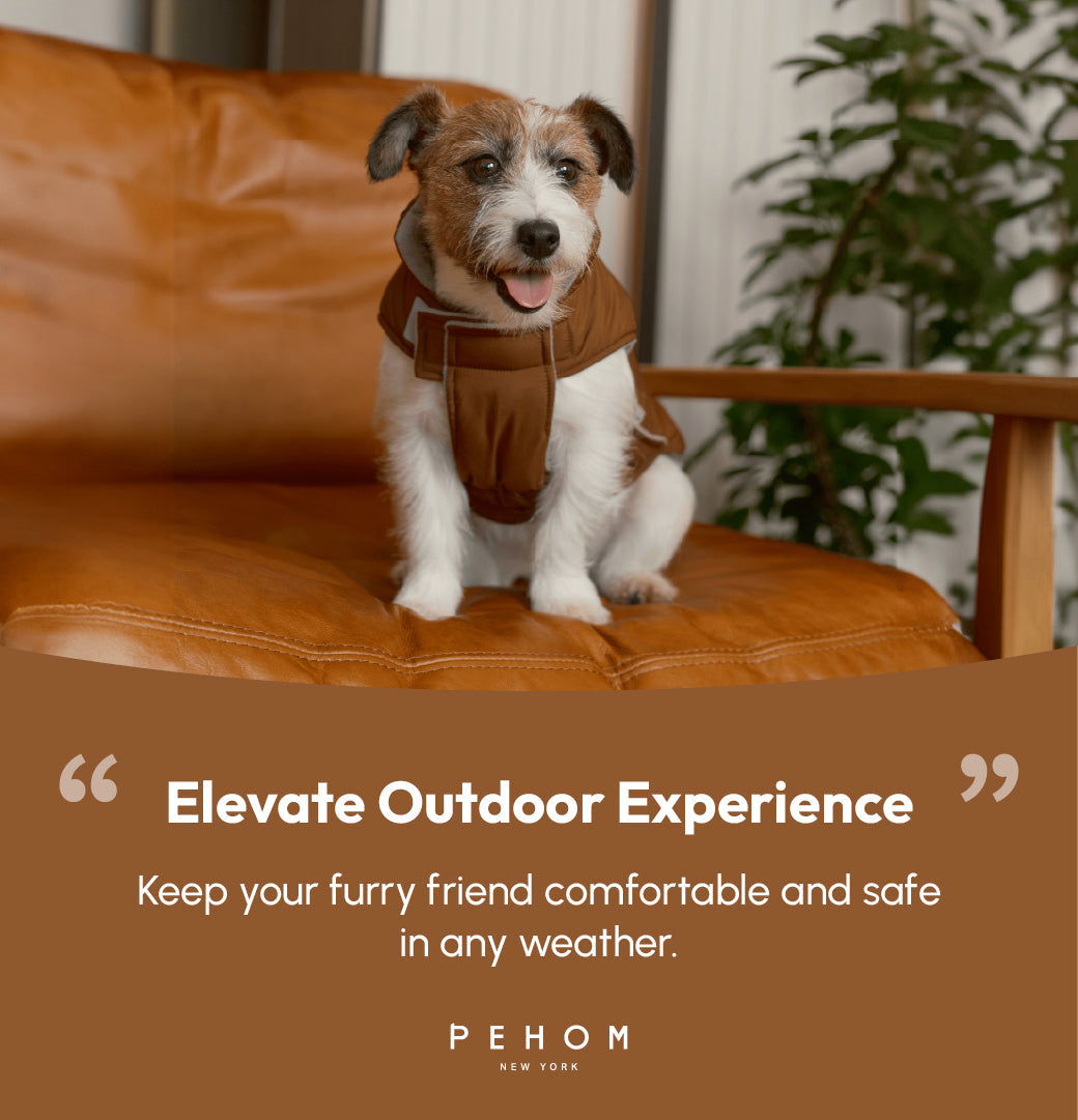 Reversible Dog Vest Jacket-Orange Grey