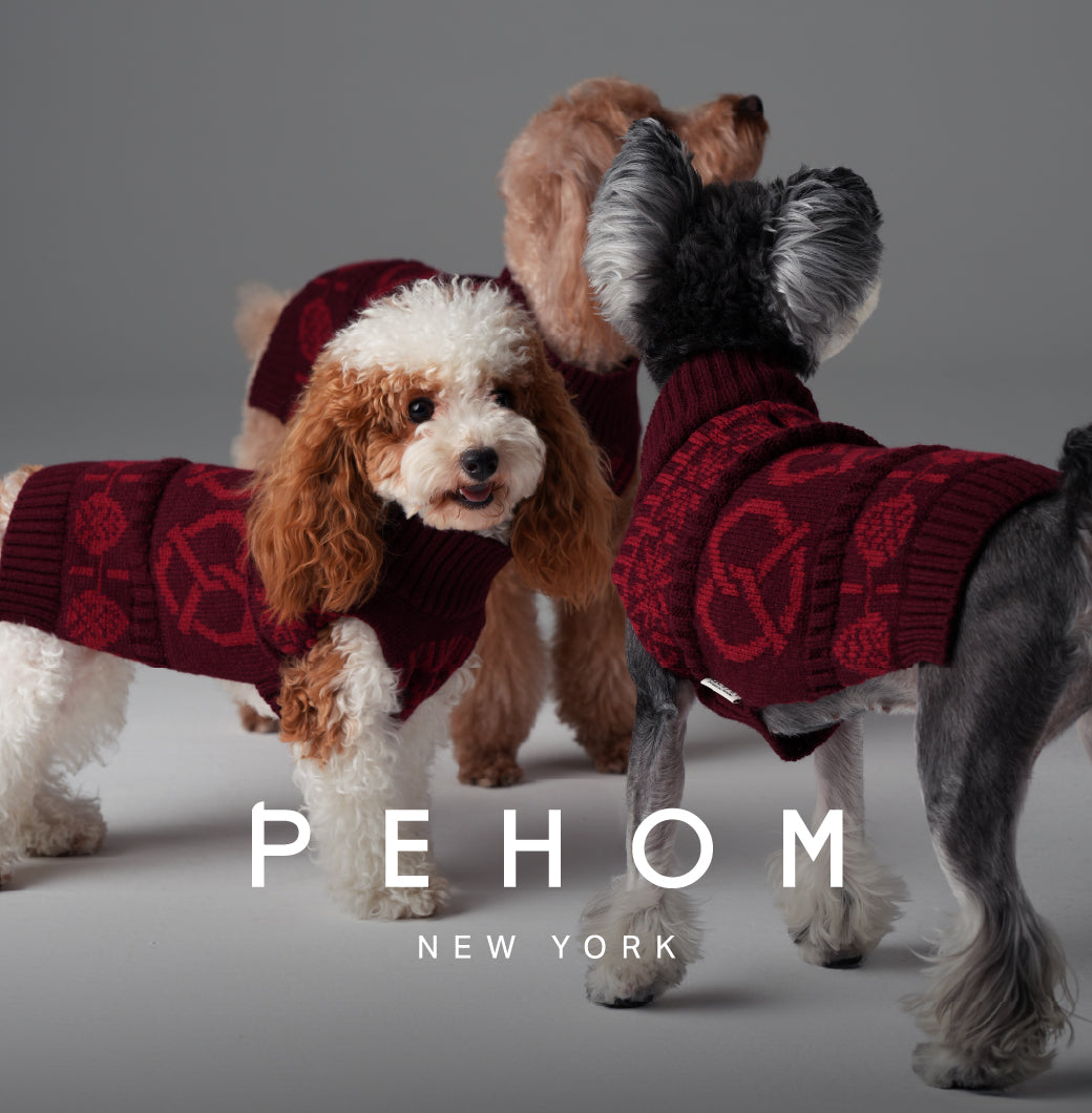 Pretzel Pet Sweater-Burgundy Red