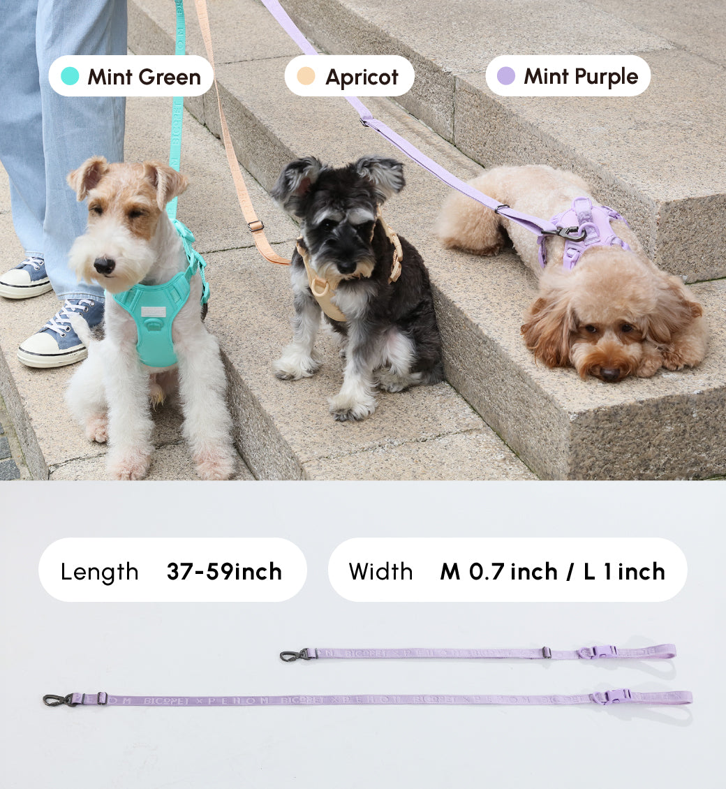 Padded Active Pet Leash-Mint Purple