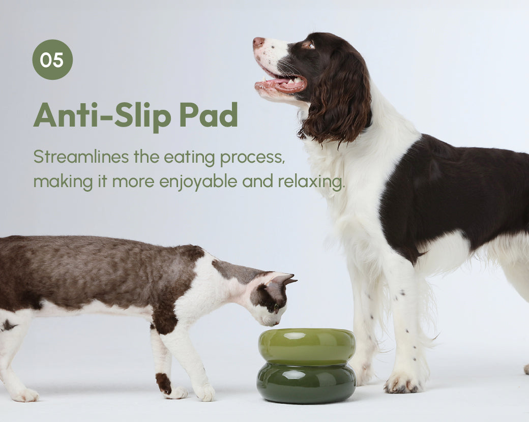 Souffle Pet Bowl-Avocado Green
