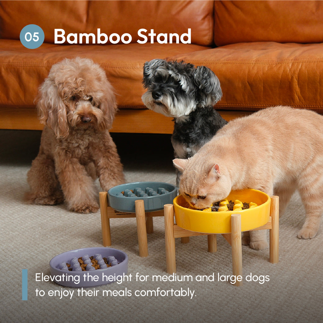 [Macaroni] Slow Feeder Dog Bowls - Yellow / Frozen Blue / Purple