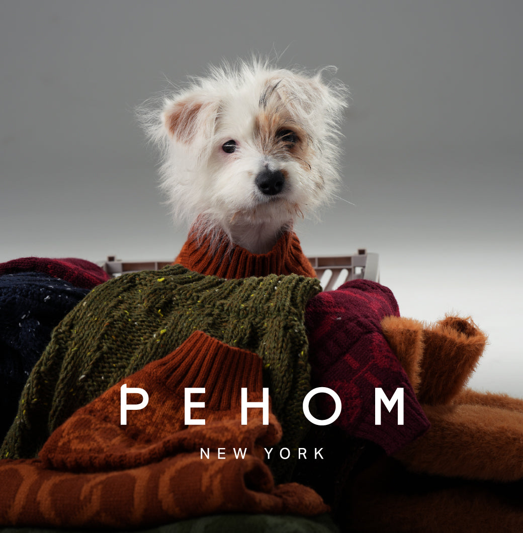Pretzel Pet Sweater-Toffee Orange