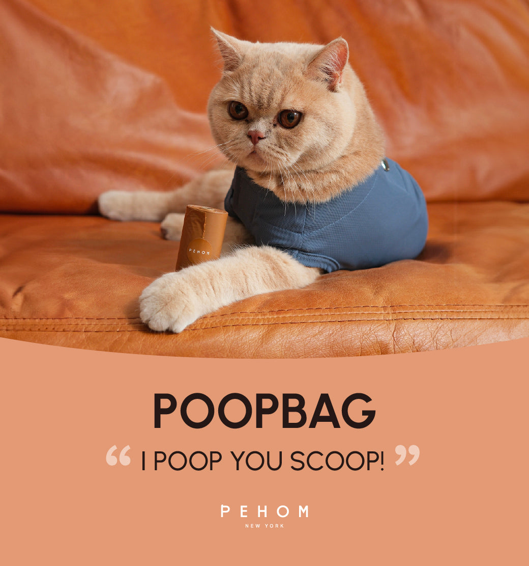 Poop Dispenser and Bags