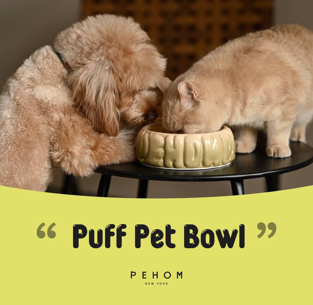 Puff Pet Bowl-Gradient Olive