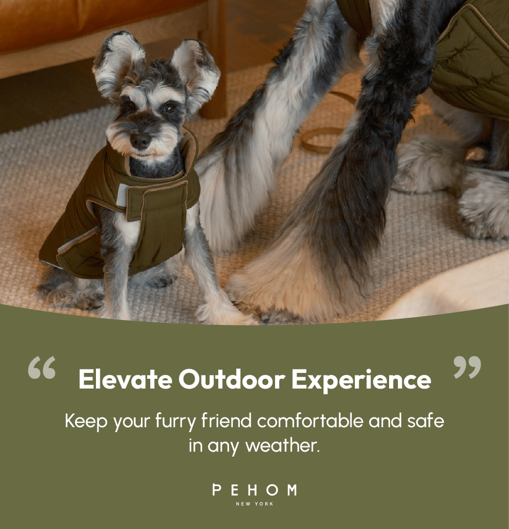 Reversible Dog Vest Jacket-Green Brown