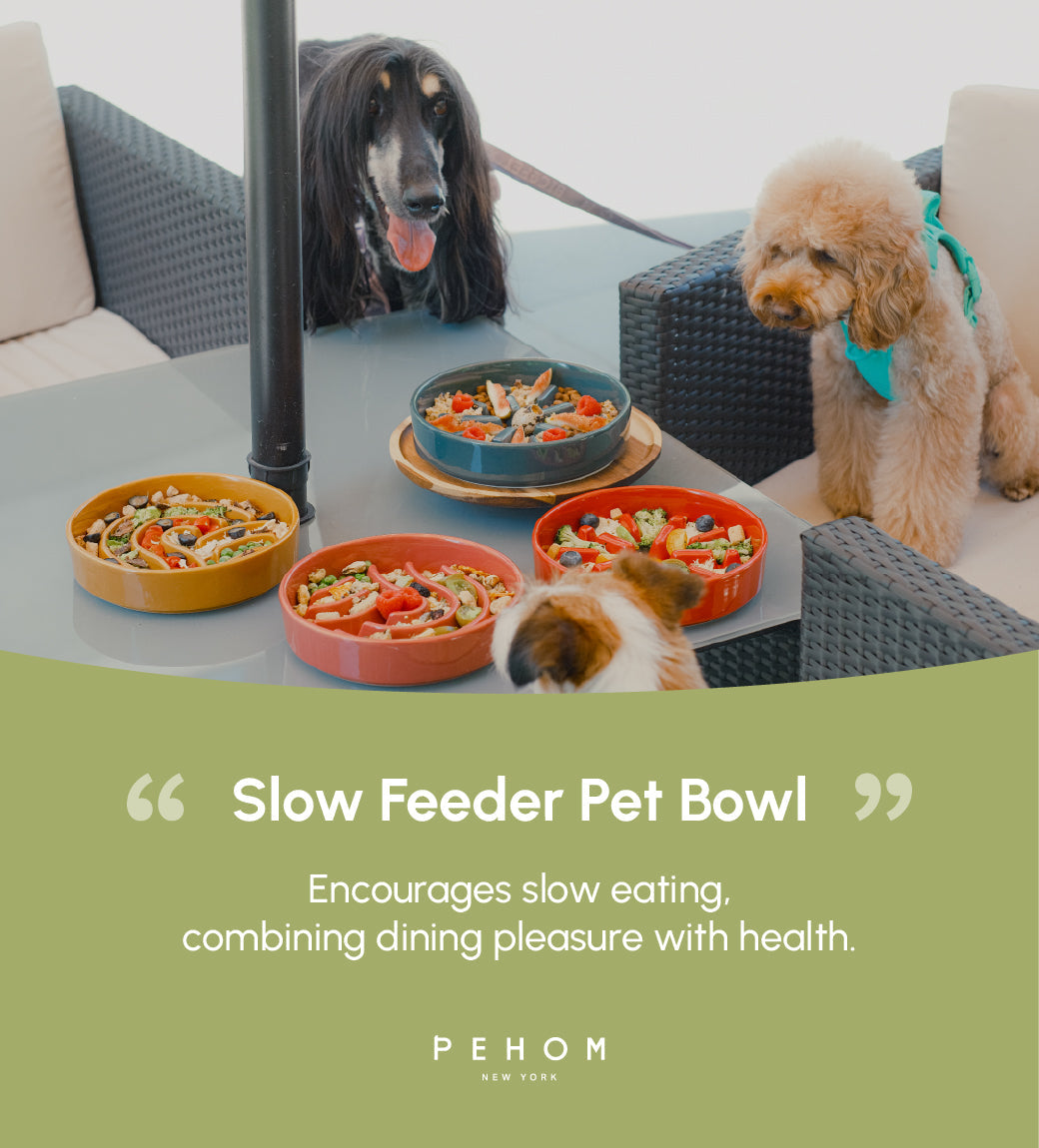 [Spark] Slow Feeder Dog Bowls - Red / Green / Blue