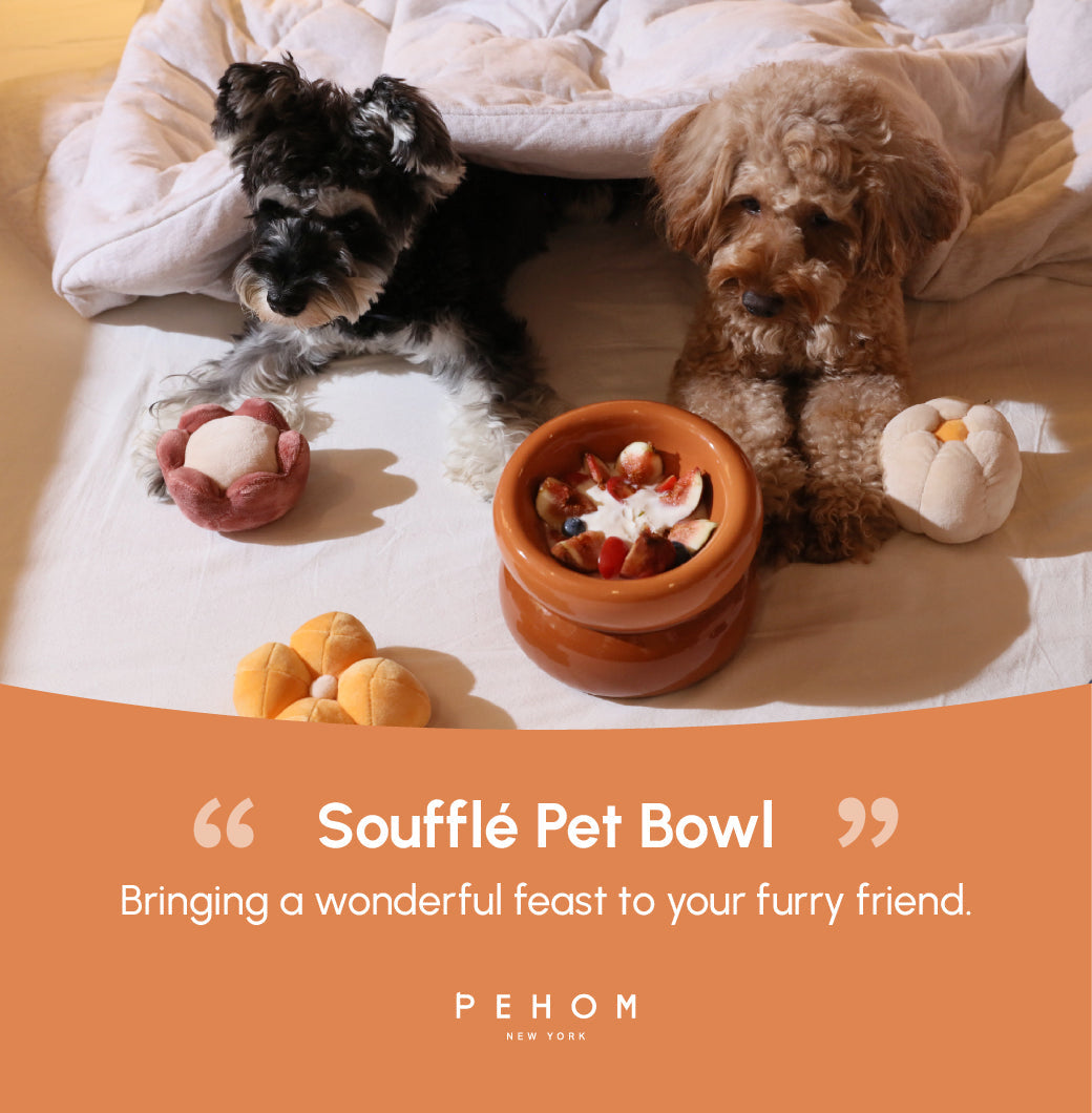 Souffle Pet Bowl-Amber Orange
