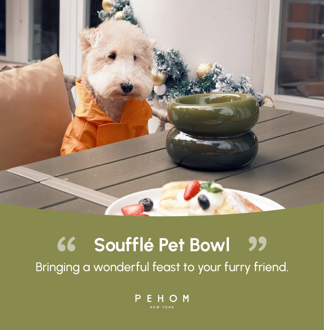 Souffle Pet Bowl-Avocado Green
