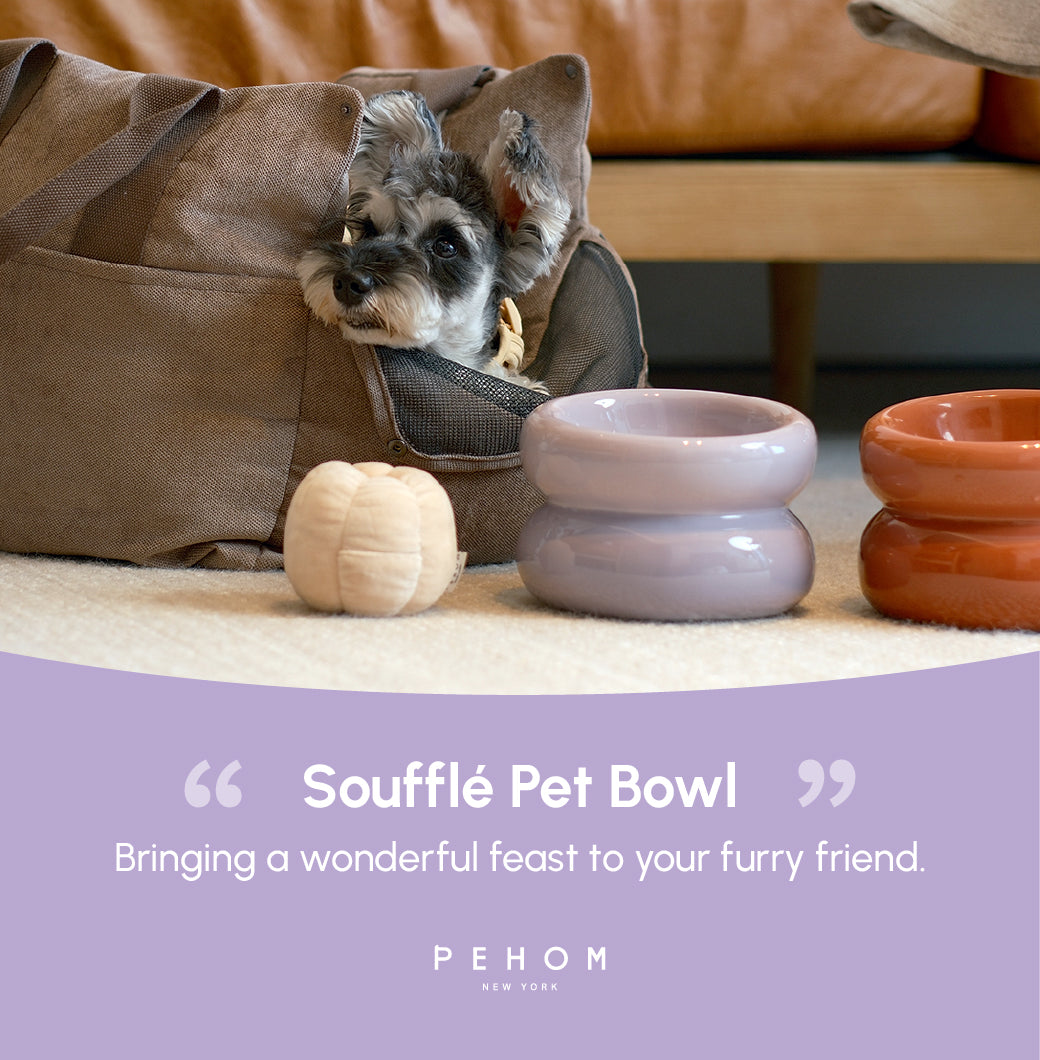 Souffle Pet Bowl-Purple