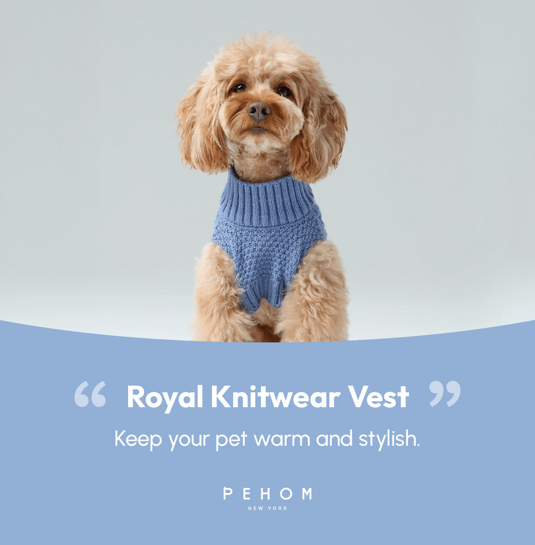 Pet Sweater Vest-Ice Blue