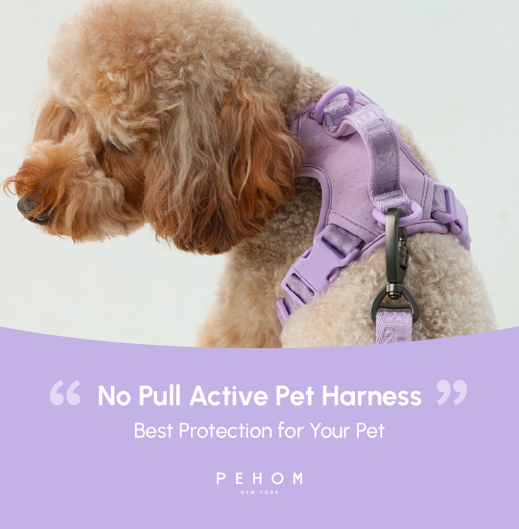 No Pull Active Pet Harness-Mint Purple