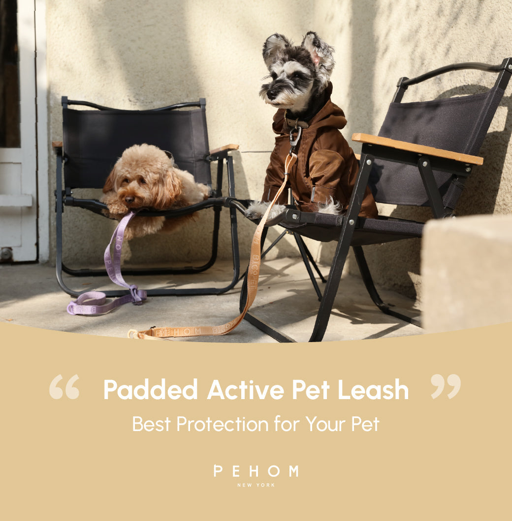 Padded Active Pet Leash-Apricot