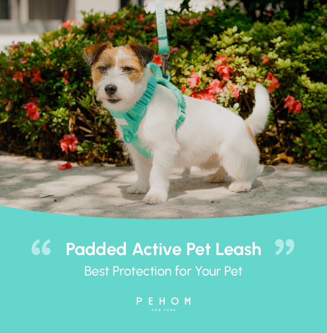 Padded Active Pet Leash-Mint Green