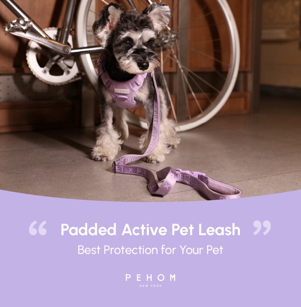 Padded Active Pet Leash-Mint Purple