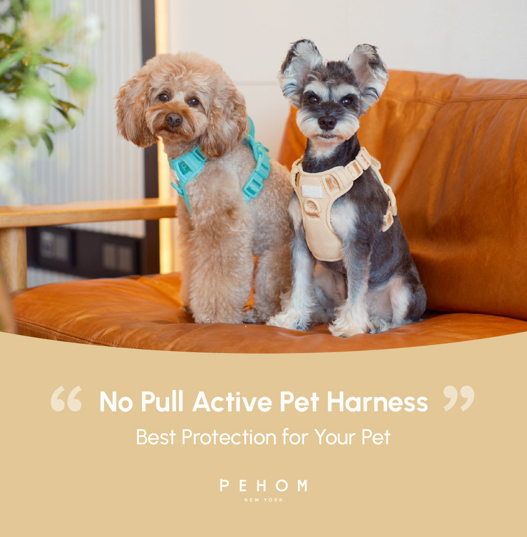 No Pull Active Pet Harness-Apricot