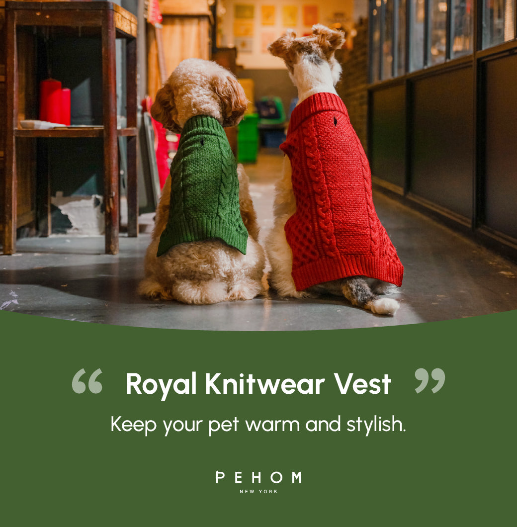 Pet Sweater Vest-Green