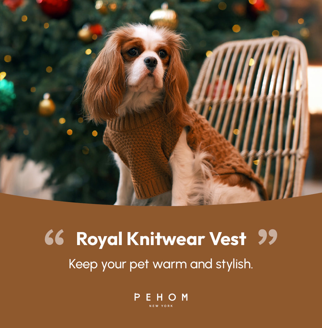Pet Sweater Vest-Toffee Orange