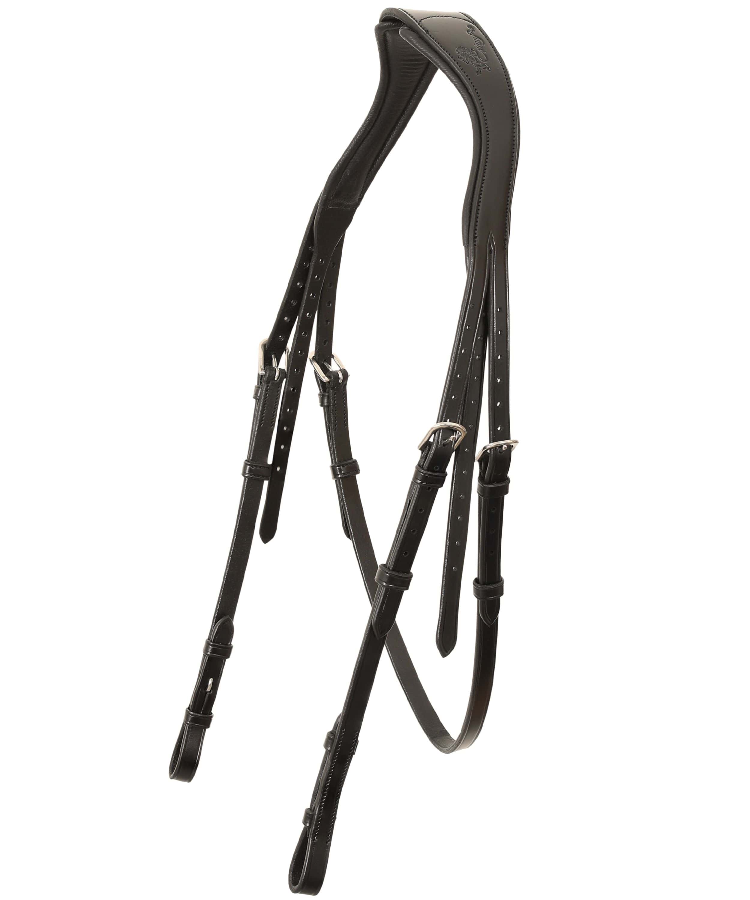 ExionPro Ursa Anatomic Dressage Bridle With Reins