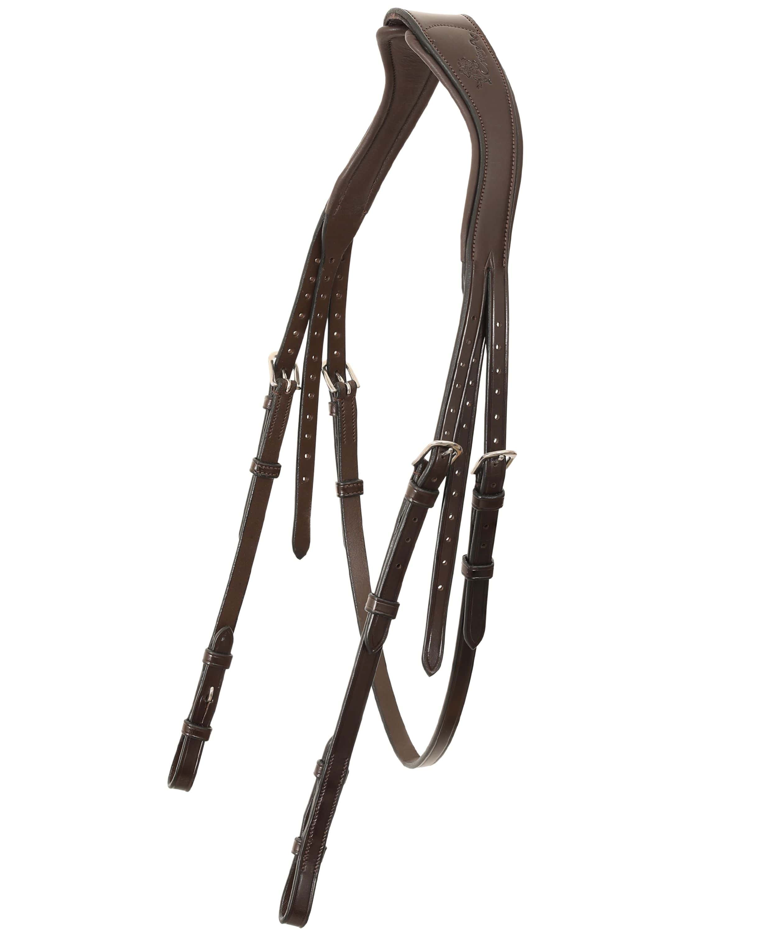 ExionPro Ursa Anatomic Dressage Bridle With Reins