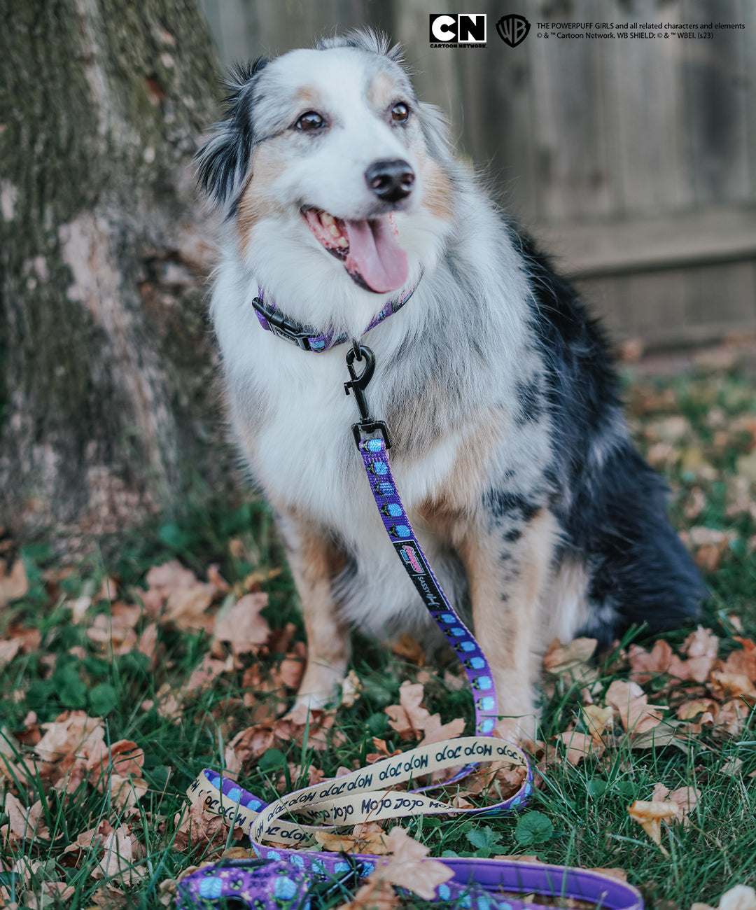 Dog Collar - Mojo Jojo™