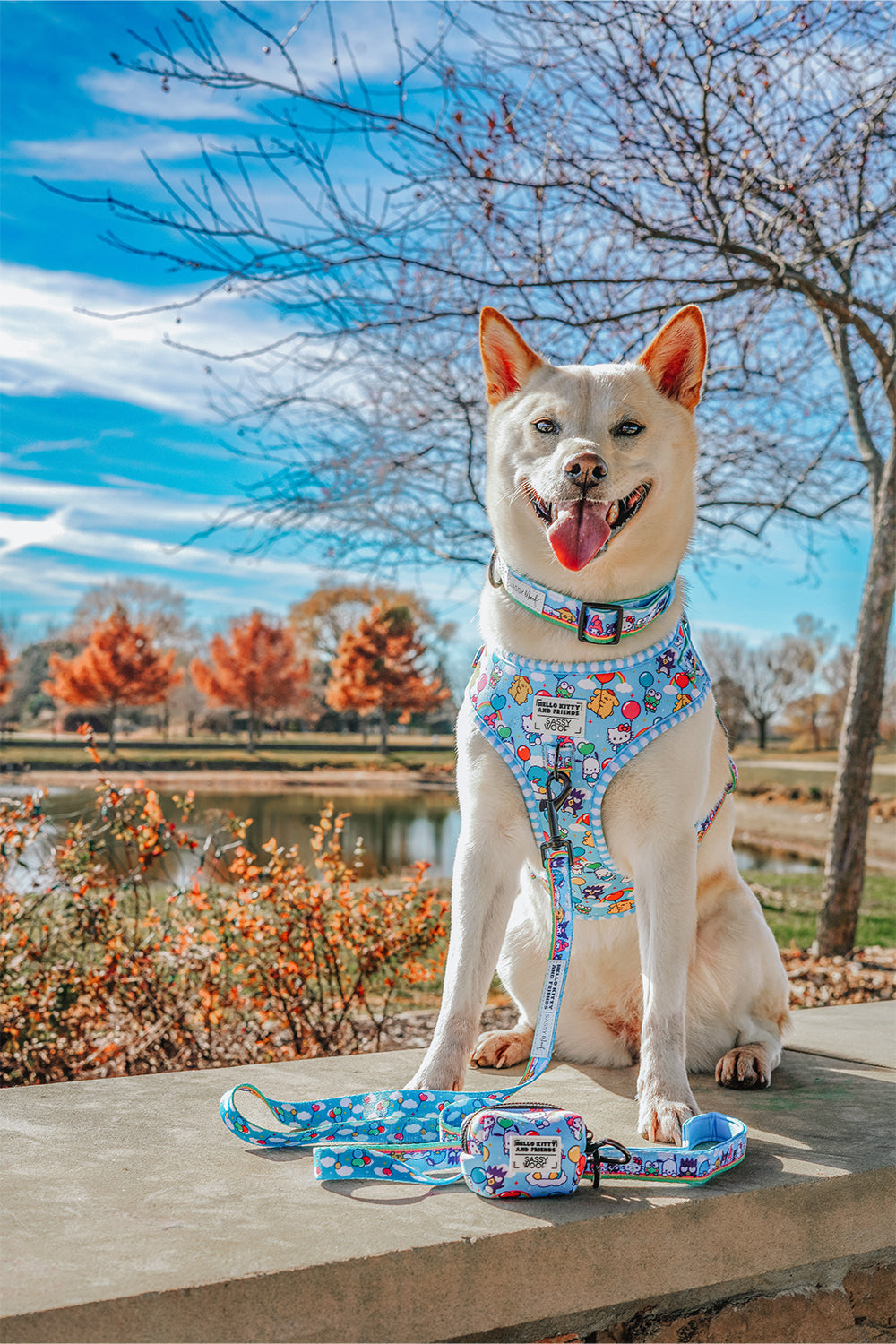 Dog Collar - Hello Kitty® & Friends In the Sky