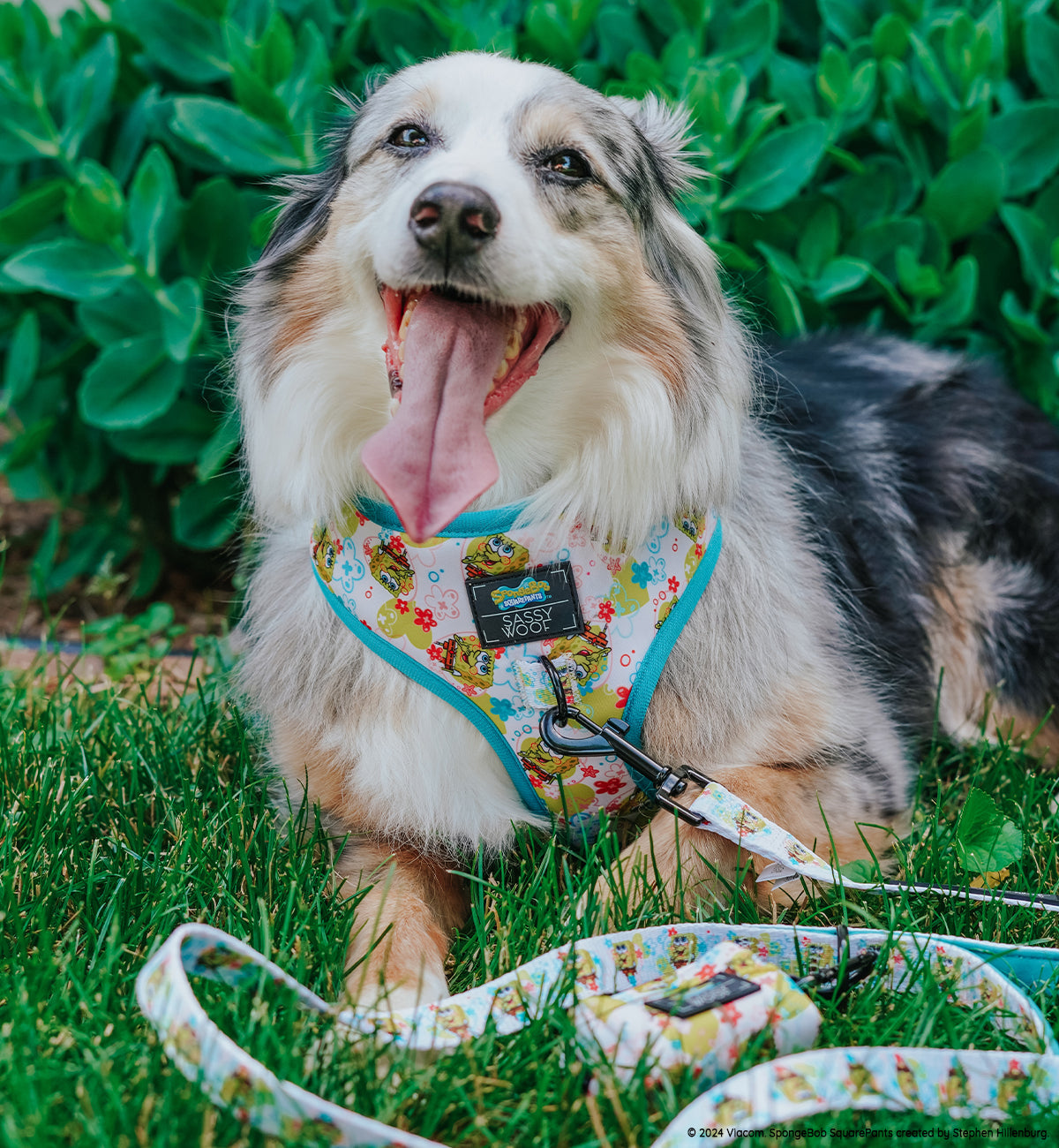 Dog Adjustable Harness - SpongeBob SquarePants™ Bikini Bottom