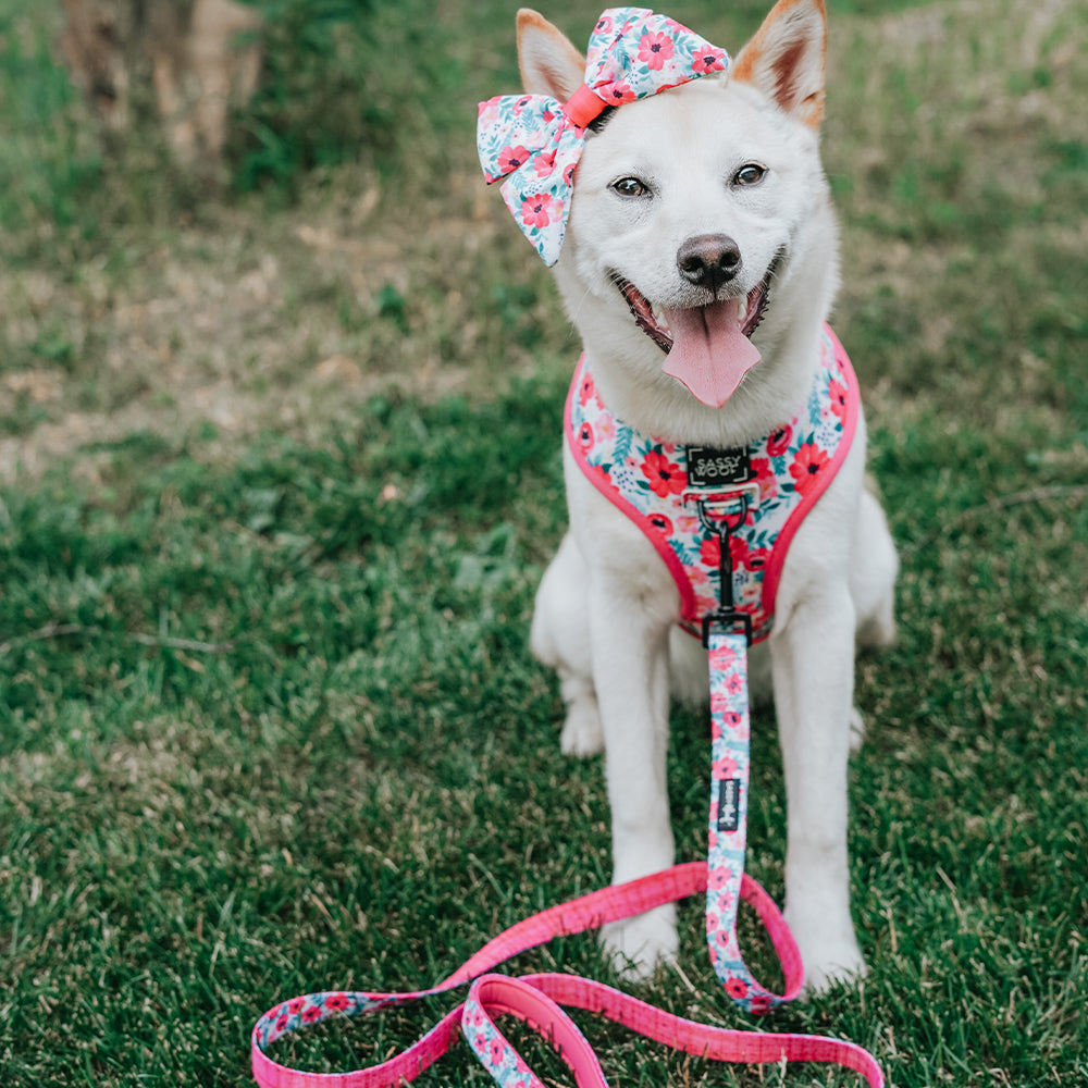 Dog Reversible Harness - Floral Frenzy