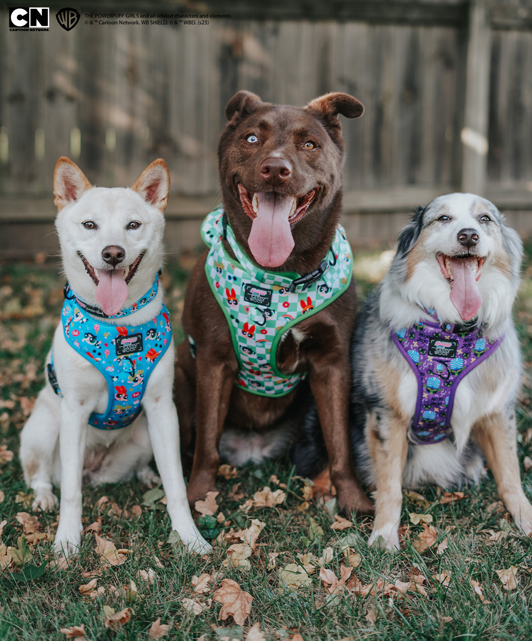 Dog Adjustable Harness - Mojo Jojo™