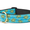 Sea Turtle Extra Wide Dog Collar 1.5"