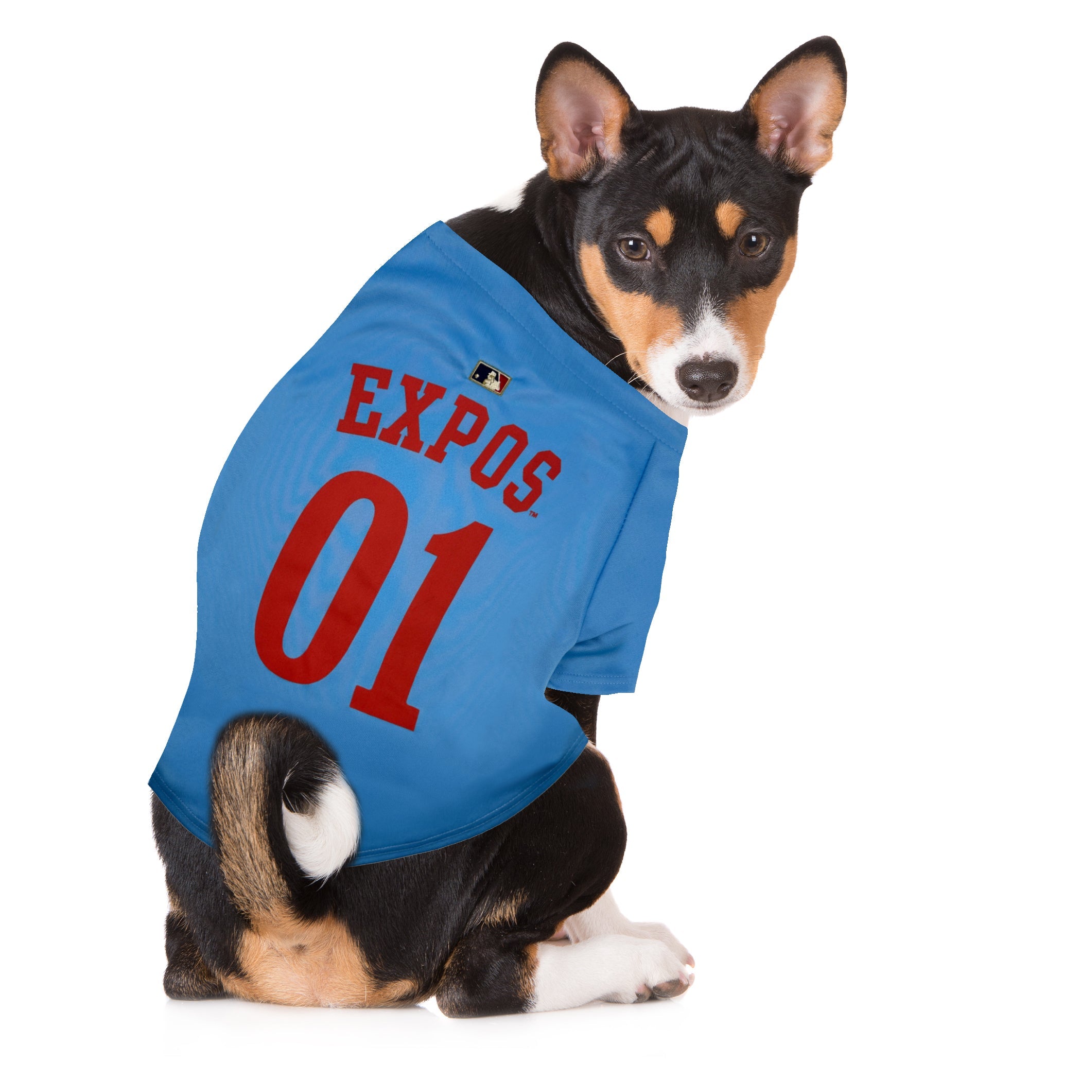 Expos Dog Jersey - Throwback