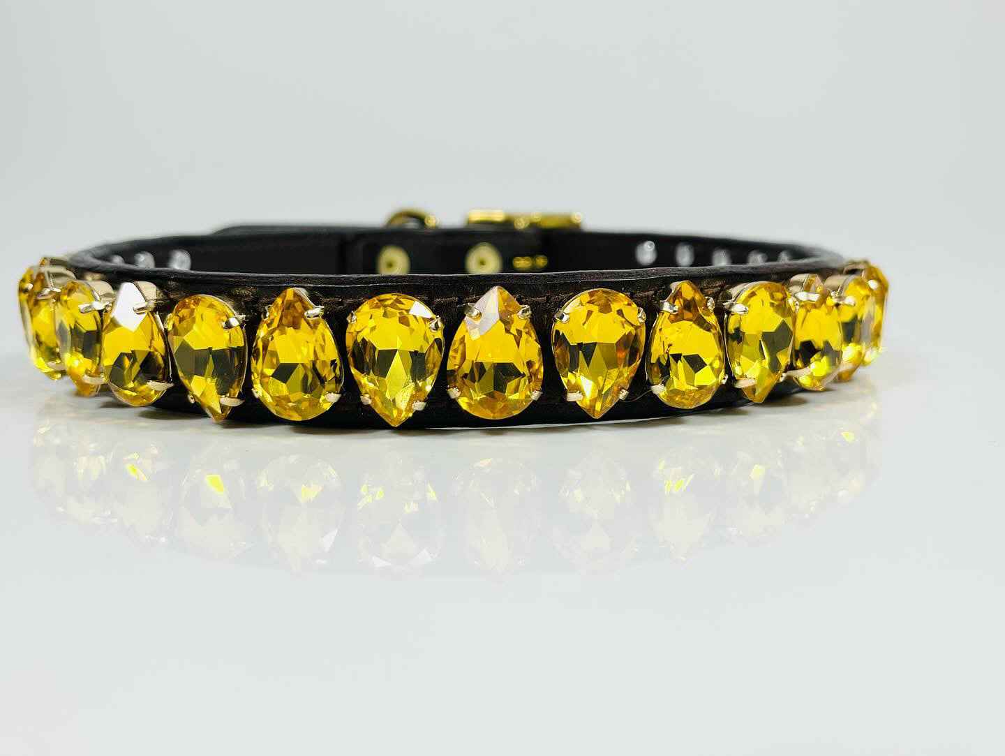 Easy Liz Dog Collar in Light Topaz