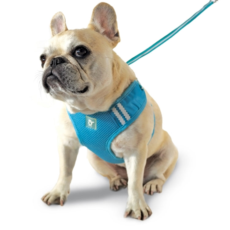DOGO EasyGO Basic Dog Harness and Leash Set