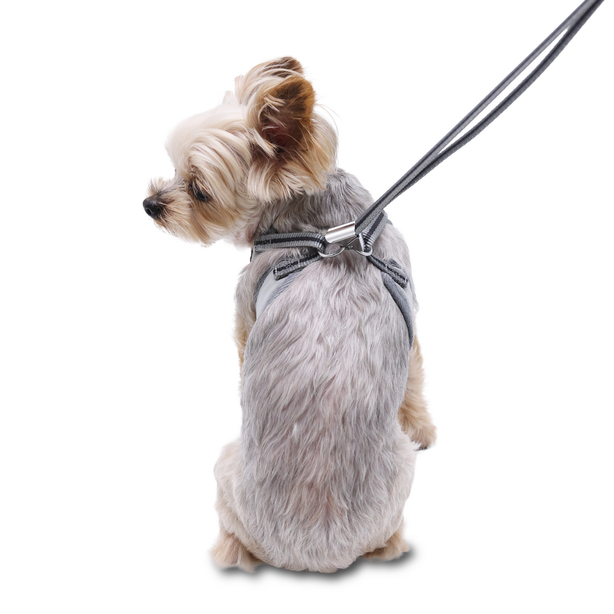 DOGO EasyGO Basic Dog Harness and Leash Set