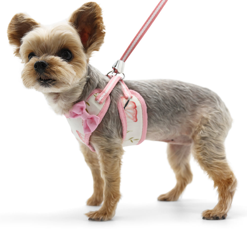 DOGO EasyGO Butterfly Dog Harness and Leash Set