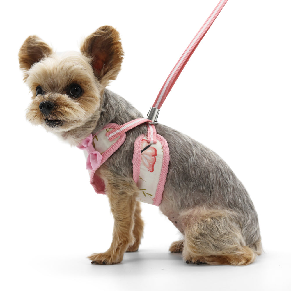 DOGO EasyGO Butterfly Dog Harness and Leash Set